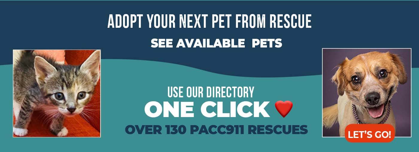 Adopt from our PET Rescue Directory
