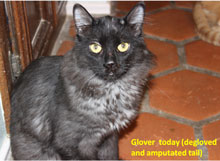 glover-after
