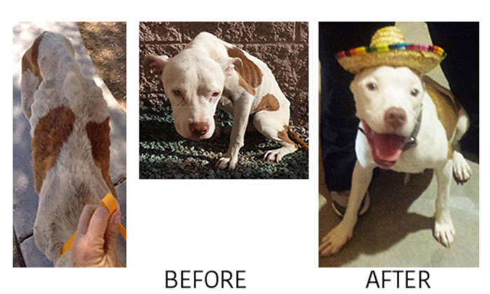 angel-before-after-700