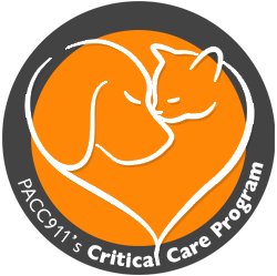 logo critical care program