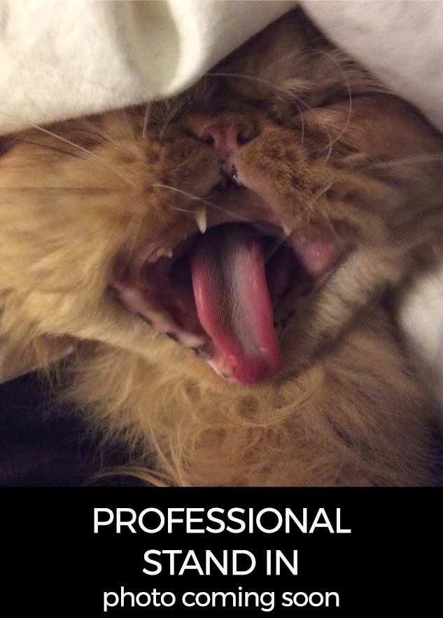 pacc911 stand in pacc911 stand in photo large