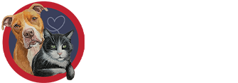 PACC911