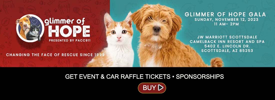 Come to PACC911's Glimmer of Hope 2023 celebration benefiting homeless abused pets needing medical care. Event and raffle tickets, sponsorships now available. Always a sellout don't miss it!