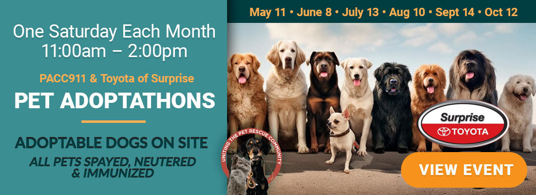Find your next pet at PACC911 and Toyota Surprise pet adoptions each month.