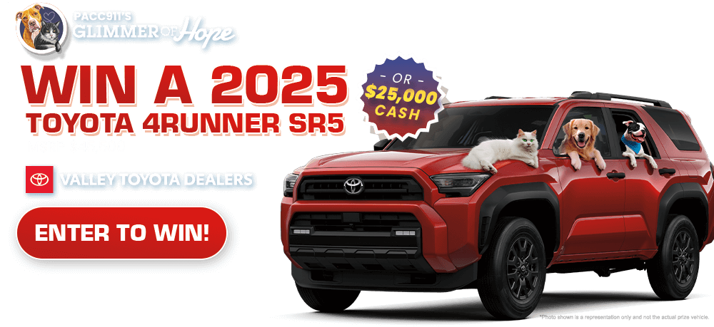 Enter to Win Car Raffle