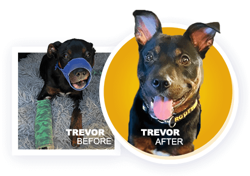 trevor-before-after-2025 Before and After