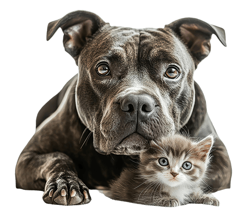 Chewy Gives Back Partner