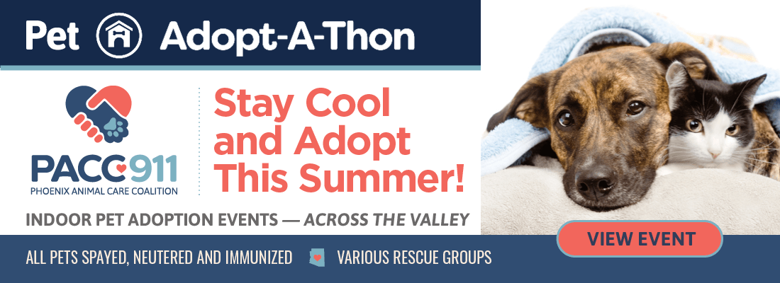 PACC911 indoor pet adoptions schedule summer 2026