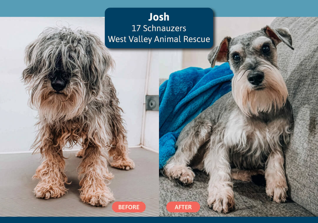 GOH 26 (VS) Josh